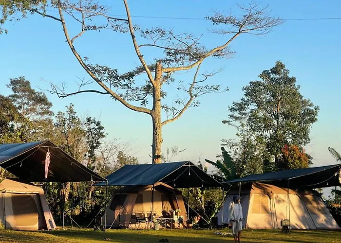 Korean Glamping Bali - Family Nature V6 * Gitgit